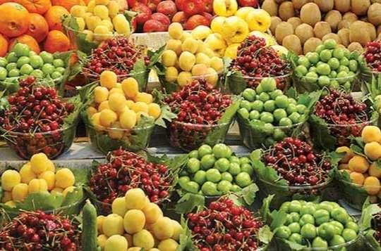 برداشت نوبرانه‌های تابستانی از باغ‌های خراسان شمالی آغاز شد
